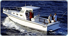 Welcome aboard the Nautical Gator