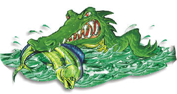 Welcome aboard the Nautical Gator